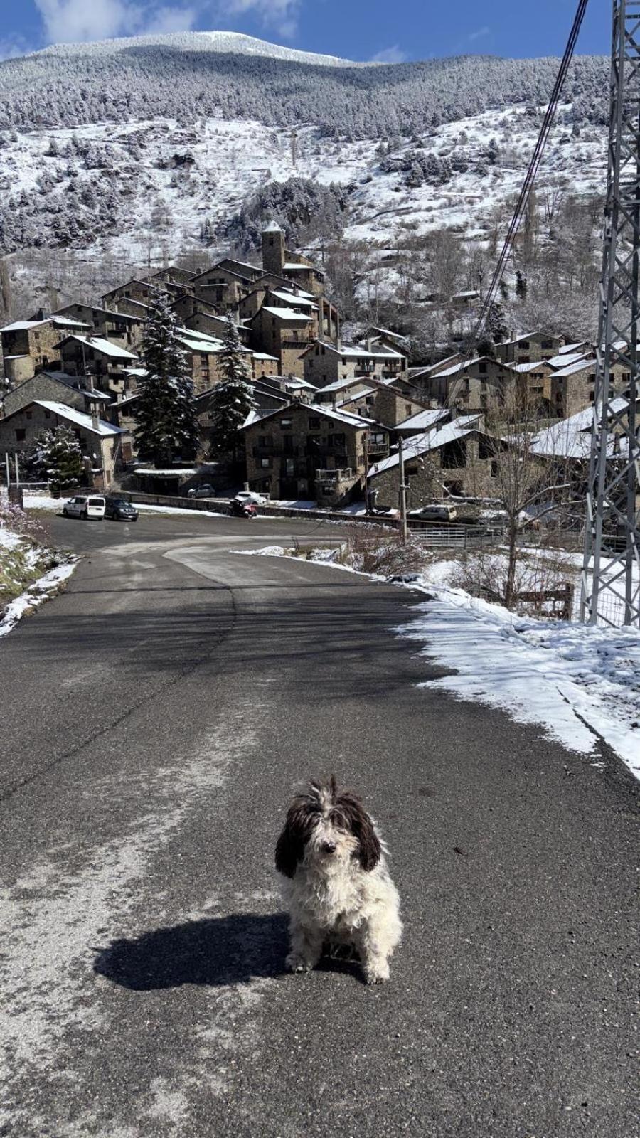 Hotel Valls Valira Os de Civís المظهر الخارجي الصورة