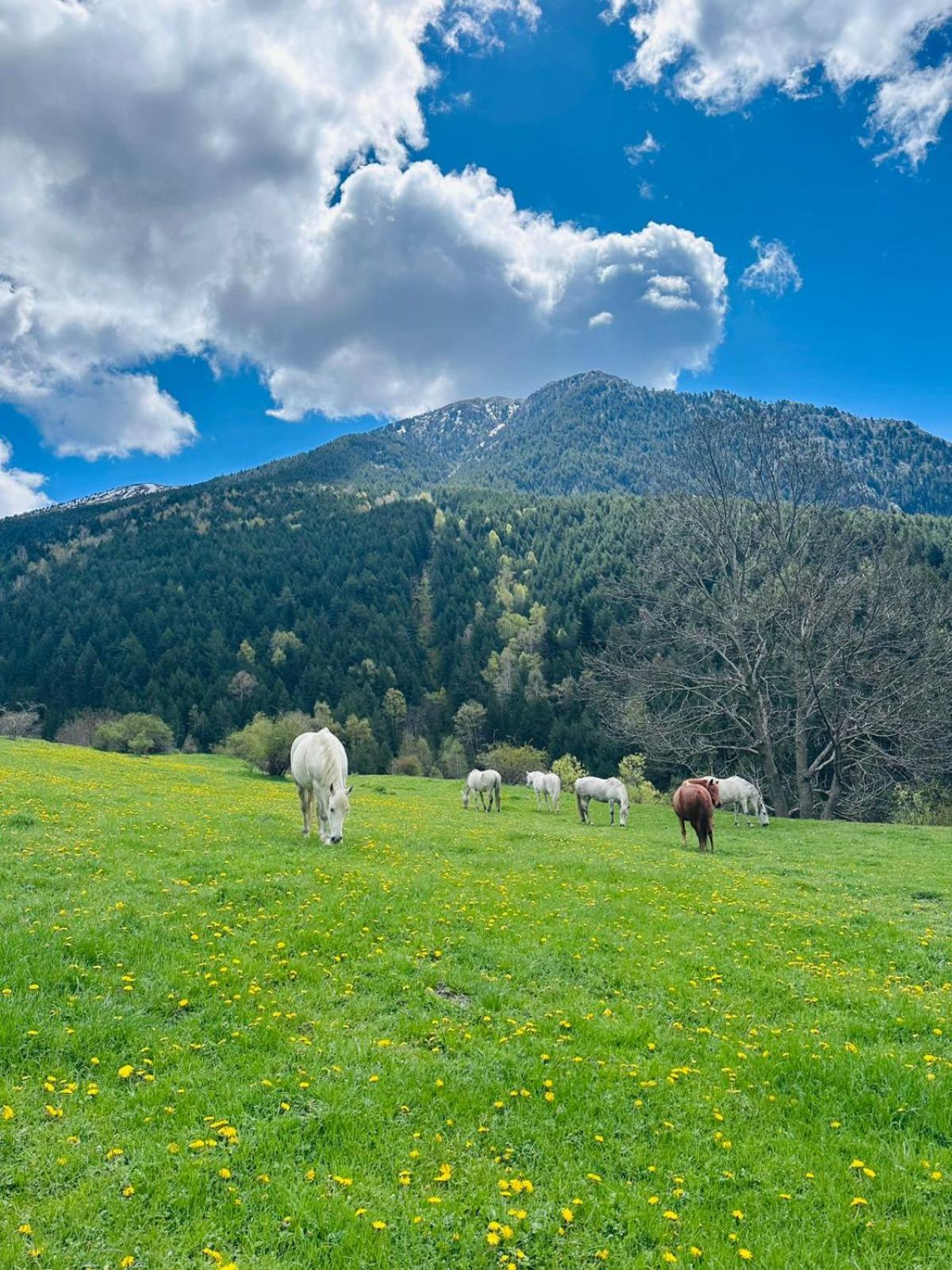 Hotel Valls Valira Os de Civís المظهر الخارجي الصورة