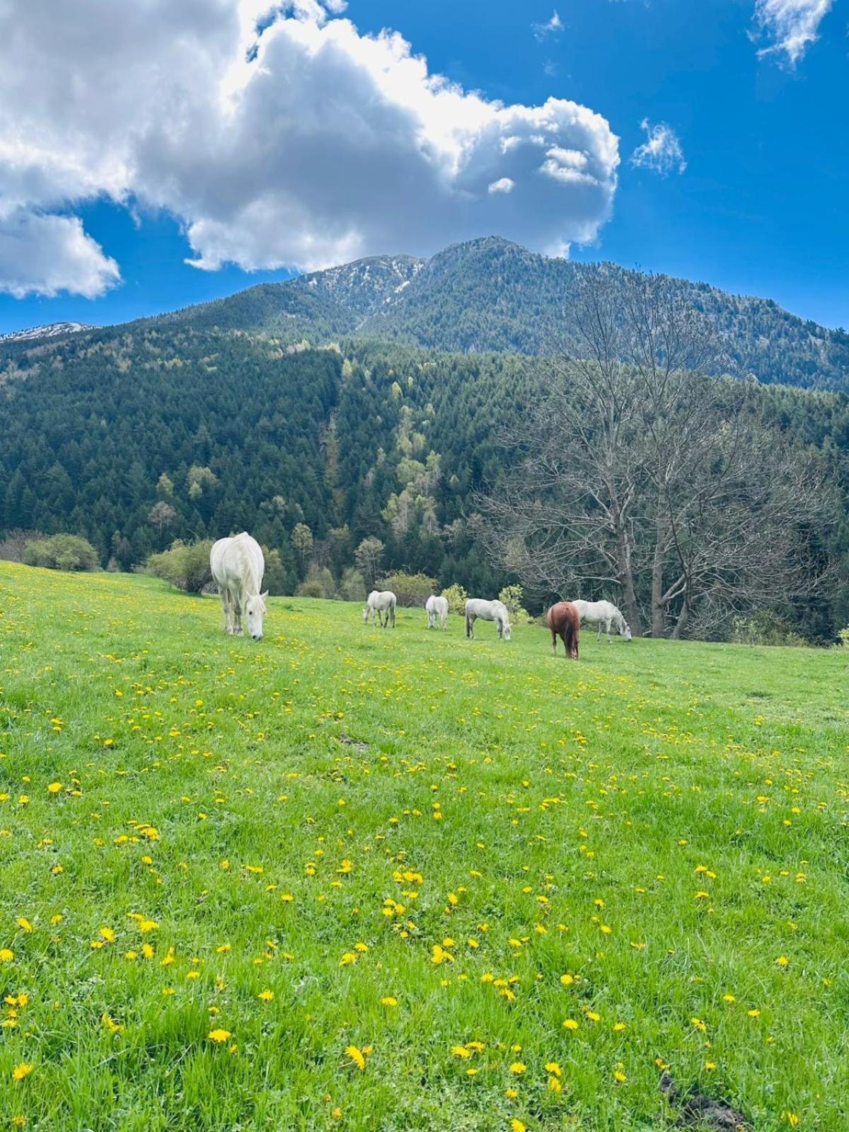 Hotel Valls Valira Os de Civís المظهر الخارجي الصورة